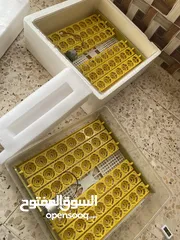  7 فقاسه للبيع سعة 96 بيضه اتومتيك لسا كرتونتها معها والكتلوج  جاج حجل بط وز حمام جميع انواع الطيور