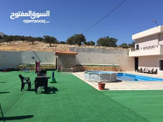  29 مزرعة و شاليه الياسر ALYASSIR FARM & CHALET. بيرين صروت