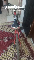  3 دراجة هوائية فيليبس جنط 24 بحالة ممتازة لا تحتاج لشيء
