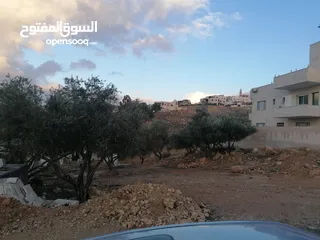  20 ارض سكنيه في ابو نصير، قراية 800 متر تقع على شارعين أمامي خلفي، منسوب خفيف، بعد مستشفى الرشيد