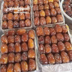  9 مصنع تمور و رطب التجاره و البيع و التصدير بالجمله