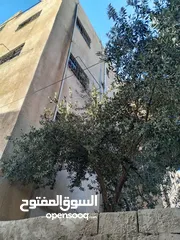  18 عماره كامله للبيع (مؤجرة ) قريبه من جميع الخدمات