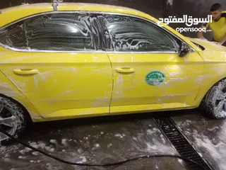  4 Skoda 2017