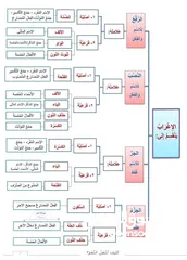  9 متخصص تأسيس وتدريس علوم اللغة العربية والتربية الإسلامية والدراسات الاجتماعية والفلسفية