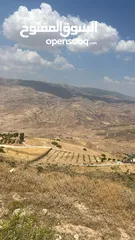  2 امزرعة للبيع