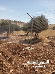  11 تشييك مزراع سياج مزارع شبك شييك تشيك المزارع