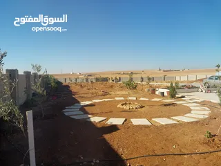  8 فيلا ومزرعة 5 دونومات للبيع في الموقر