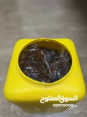  5 سح خلاص للبيع ذات جوده عاليه جدا