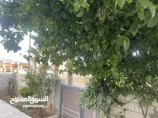  12 بيت مستقل للبيع ابوعلندا منطقة الرقيم