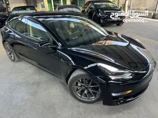  2 Tesla Model 3 2021