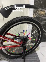  4 بسكليت امريكي