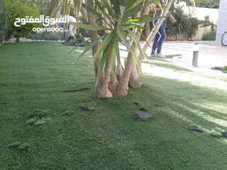  6 عشب صناعي (ترتان) وأشجار و ورد صناعي