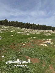  3 ارض 6 دنمات شمال عمان لواء عين الباشا قرية ام انجاصه قطعه مرتفعه ومطله وقريبه من جميع الخدمات