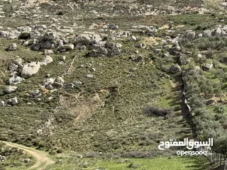  21 ارض للبيع قرمية حسبان 3100 متر لكامل القطعة قابل للأقساط