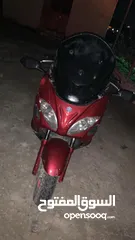  11 شصيات للبيع