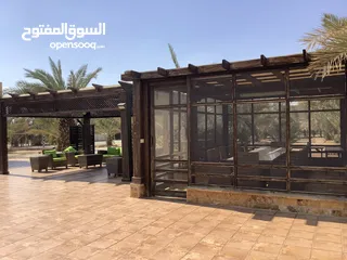  17 مزرعة في البحر الميت/ الشونه الجنوبية / السويمه / حوض جلد مميزة للبيع للجادين فقط