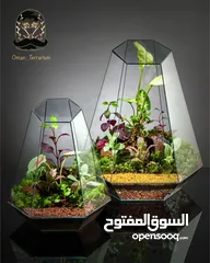  4 Terrarium fresh flower