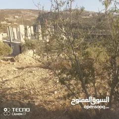  1 محمد فهمي مرعي