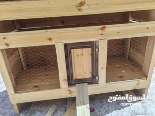  1 حاضنات للطيور والدجاج