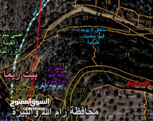  1 قطعة أرض زراعية للاستثمار منطفة ب