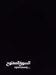  5 حساب بلوكس فروت للبيع  لفل 550  فواكه نادرة  فلوس 2,500,000  توزيع ممتاز  قابل للتفاوض