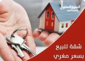  1 شقه للبيع كاش أو تقسيط تشطيب سوبر تولكس تسليم فوري