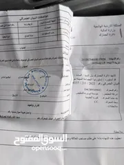  20 باص جراند.  H1  لمتدد بحالة الوكالة موديل 2008