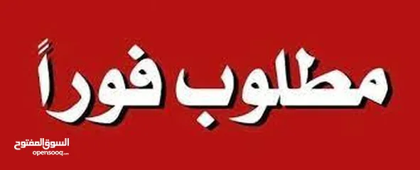  2 مطلوب للشراء العاجل والفوري من المالك مباشرة شقة في شمال عمان لايزيد عمر البناء عن عشر سنوات