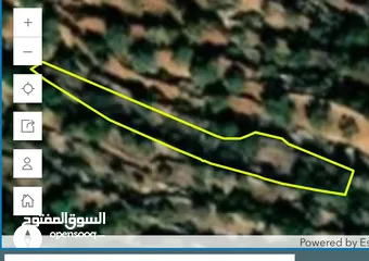  2 قطعهارض  مساحتها حوالي 800 م يوجد فيها زيتون رومي  موقع مطل و ومرتفع