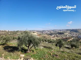  8 ارض مميزة 700 متر في ابو نعير ذات اطلاه عاليه على مسجد الحدائق وابراج السادس تبعد عن دوار الشعب 10د