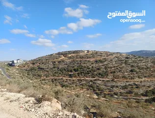  2 أرض مميزة للبيع في قراوة بني زيد تصنيف أ – موقع استراتيجي بجوار مشروع جوال وصوفيا بارك!
