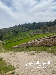  1 دنم ارض للبيع في السلط الصبيحي ميسره بالقرب من مطعم الطلع الغربيه