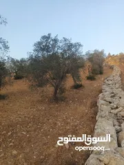  1 مكتب  زمزم للتسويق العقاري