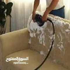  10 sofa shampooing service