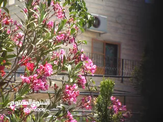  19 كاميرا Panasonic كلاسيكيه ديجيتال احترافيه تصوير فيديو و صور