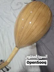  9 عود مصري للبيع