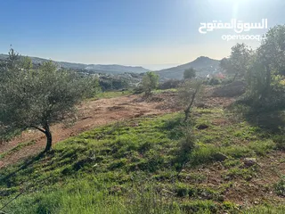  4 قطع سكنيه (سكن ج ) منطقه(عين جنا/ عجلون) وسط البلد،مرتفعه واطلاله جميلة على القلعة واصل جميع الخدمات