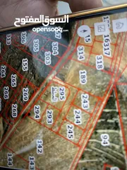  5 أرض سكن أ في منطقة بطنا بالسلط