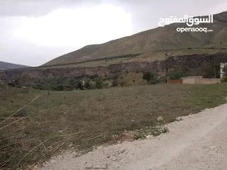  14 ارض للبيع في الحمه الاردنيه مزروع جوافه وكل انواع الحمضيات بثلاثه قواشين مستقلات ومتلاصقات لمالك واح