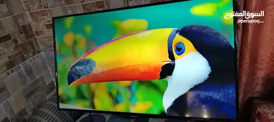  5 شاشه سكاي وورث 50 ال اي دي