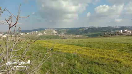  2 بيع ارض في البلقاء