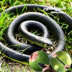  11 مقالب  رعب و نهفات مزح  حشرات دود   و اقعى صرصور و عنكبوت مقلب صدمه مصنعه من السيلكون
