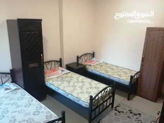  4 سكن شرينج شباب في عجمان