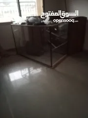  9 مطير عصافير حجم كبير