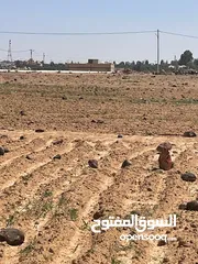  7 اراض سكنية متميزه للبيع في محافظة المفرق قرية الصالحية 2169م /مساحة 750م جانبها مديرية التربية