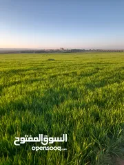  6 اراضــي للبيــع في مادبـــــا حوارة مفروزة سكن أ  وزراعي مميزة مستوية باسعار مناسبة
