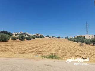  13 ارض للبيع 500 م في اجمل مناطق المملكه بدر الجديده (الغروس الغربي) على شارعين