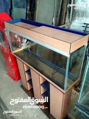  15 احواض سمك منوعة