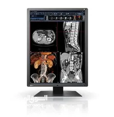  2 RX250 2MP 21.3" LCD Medical Display - RadiForce  EIZO‏