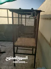  4 birds big cage  2 portation